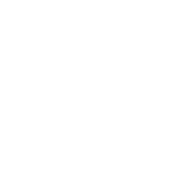 Play Icon
